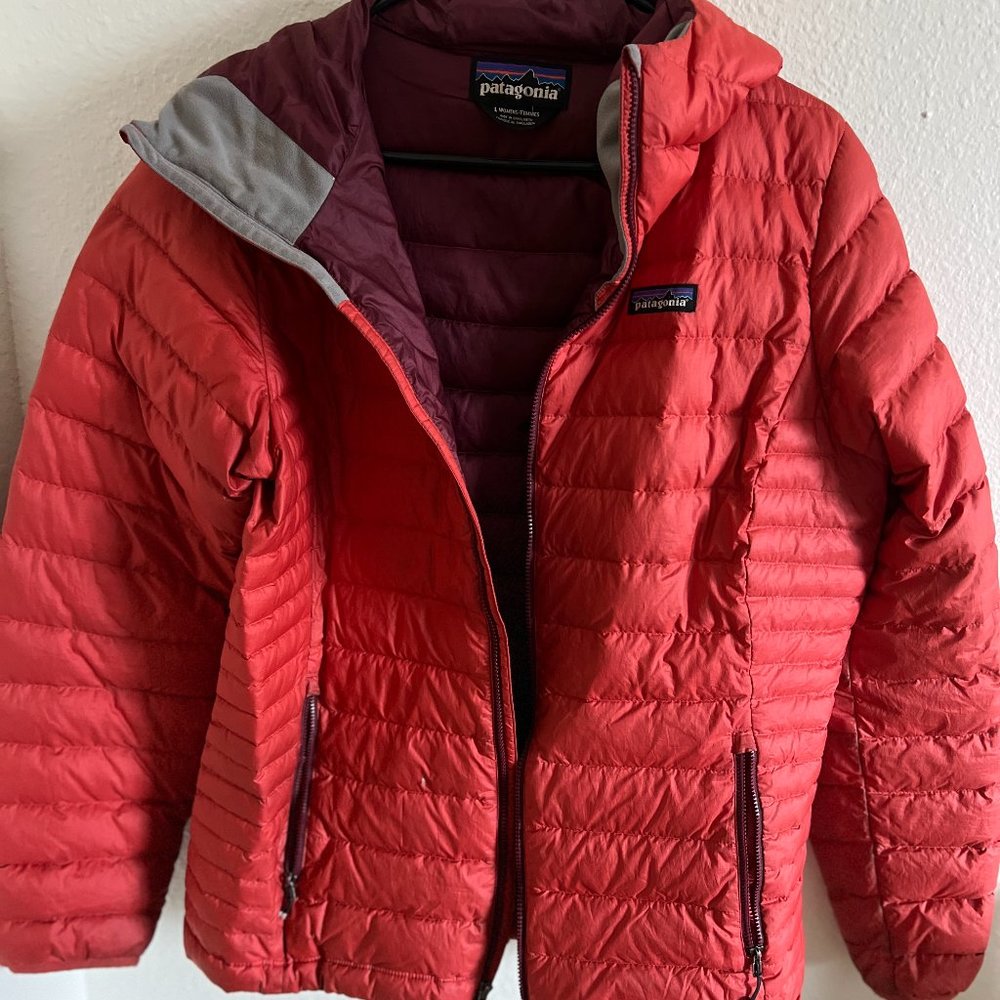Patagonia Down Sweater Hoody